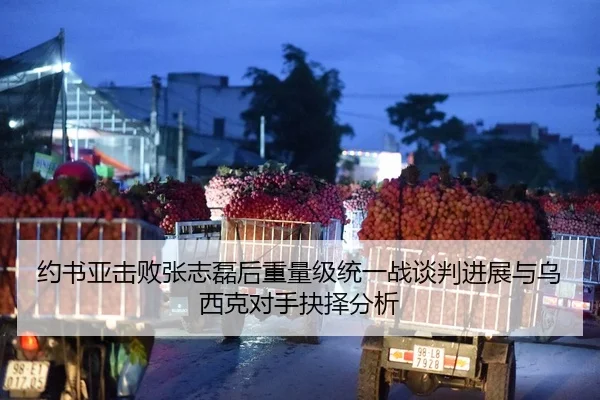 约书亚击败张志磊后重量级统一战谈判进展与乌西克对手抉择分析