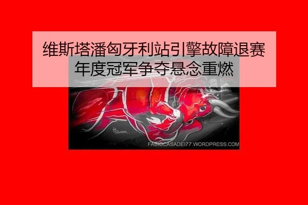 维斯塔潘匈牙利站引擎故障退赛 年度冠军争夺悬念重燃